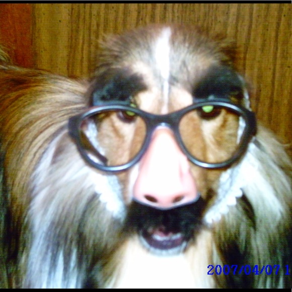 Meet your Posher, David - Picture 1 of 1